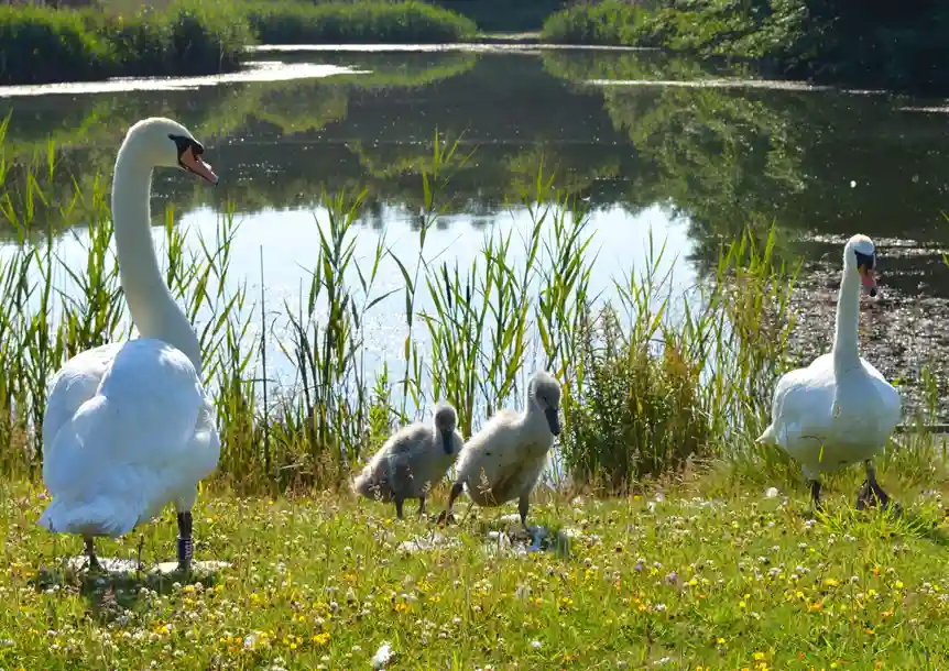 Burry Port Harbour, Carmarthenshire