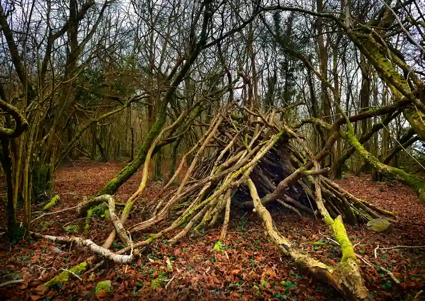 Carmel National Nature Reserve