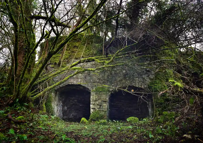 Carmel National Nature Reserve