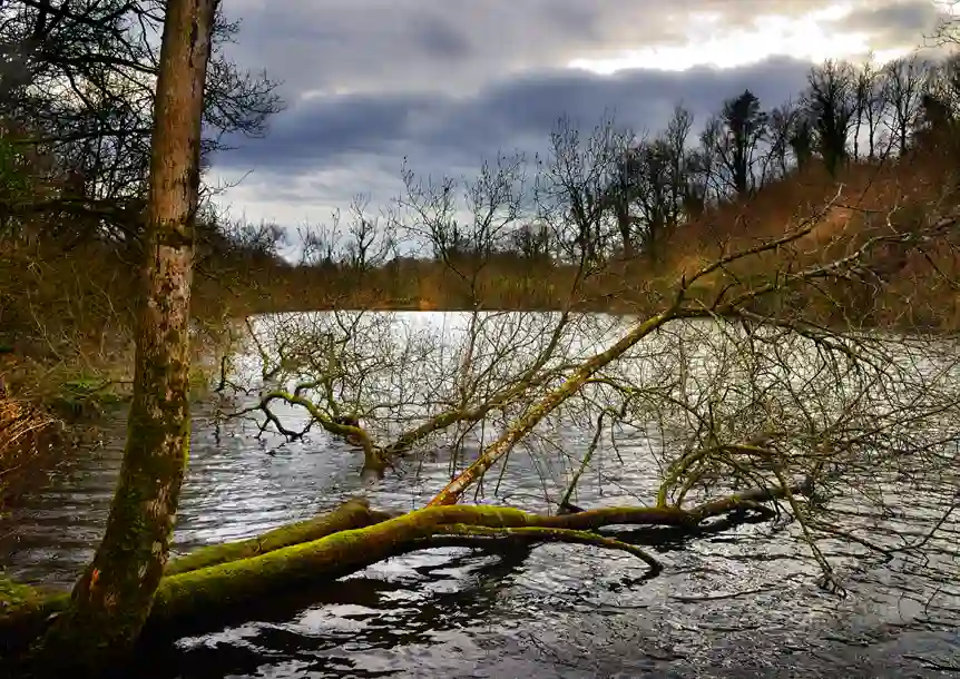 Carmel National Nature Reserve