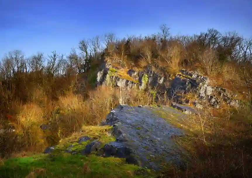 Carmel National Nature Reserve
