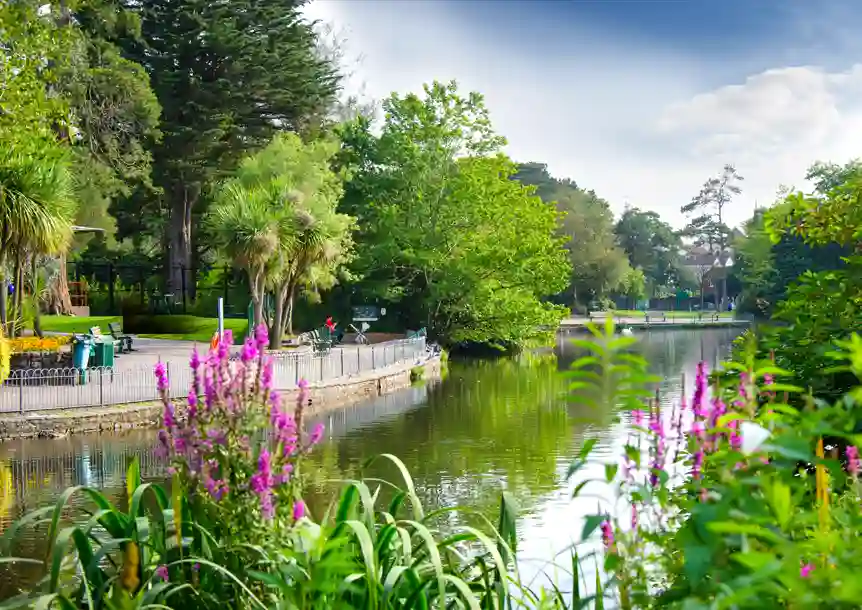 Singleton & Brynmill Parks