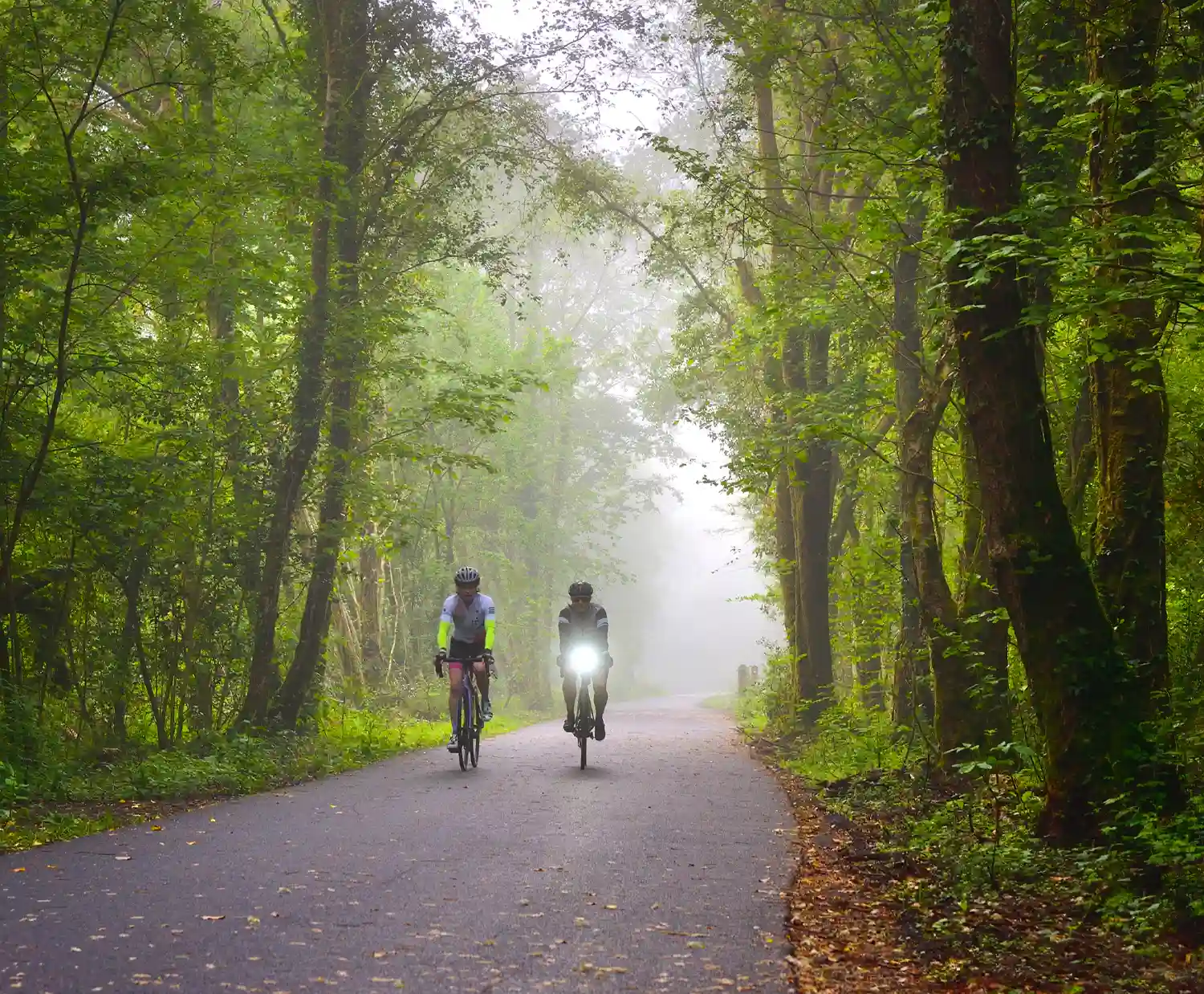 Clyne Valley Cycle Path