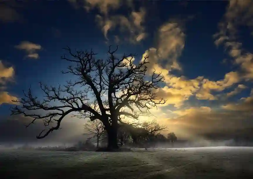 Dinefwr Park and Castle