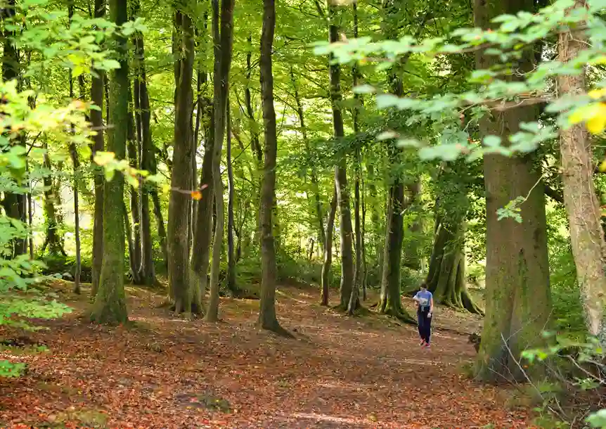 Gnoll Country Park, Neath