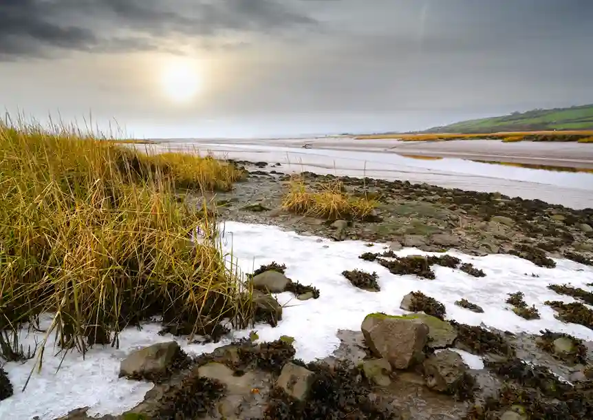 Mouth of the river Gwendraeth from the quay