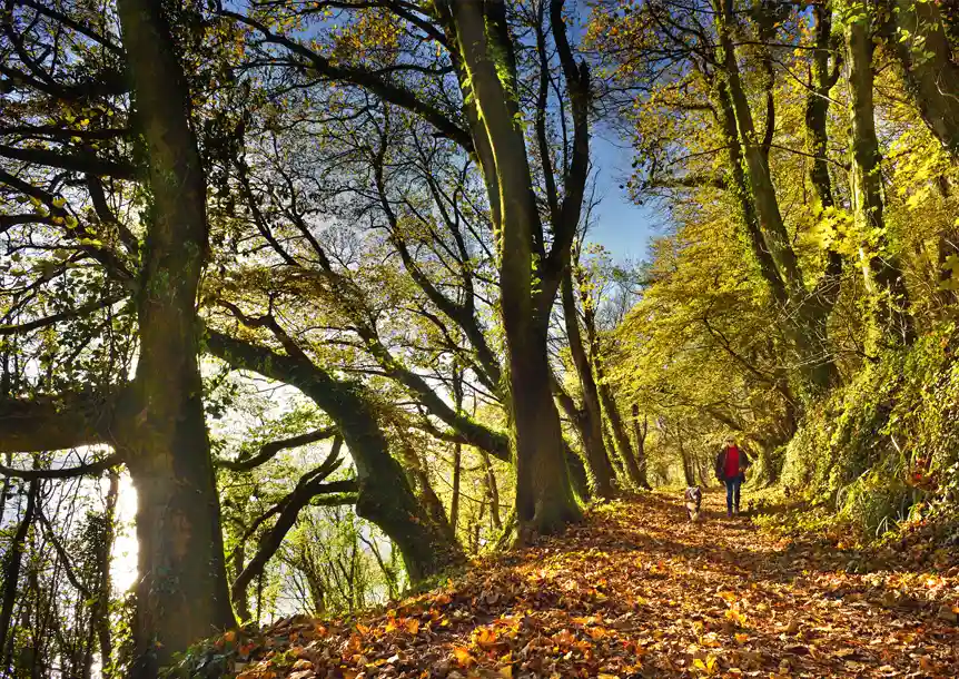 Laugharne, Carmarthenshire