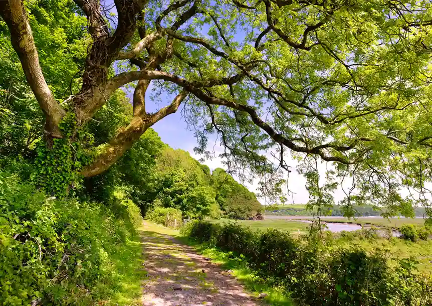 Laugharne, Carmarthenshire