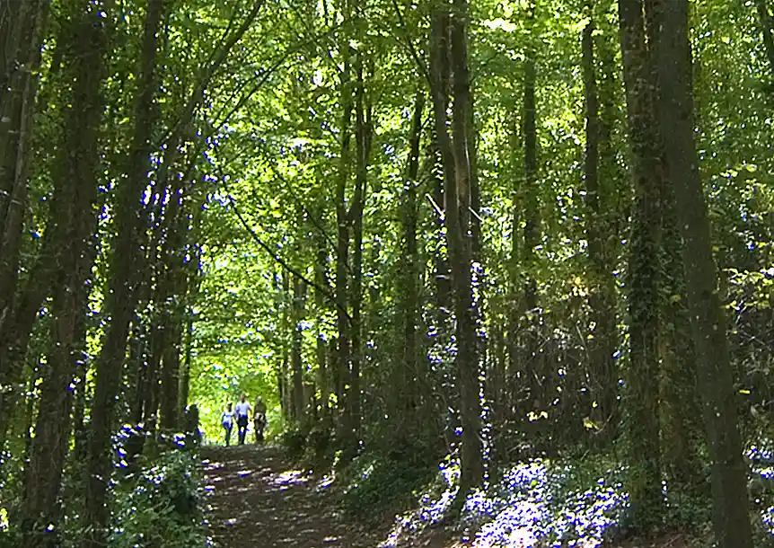 Llansteffan, Carmarthenshire