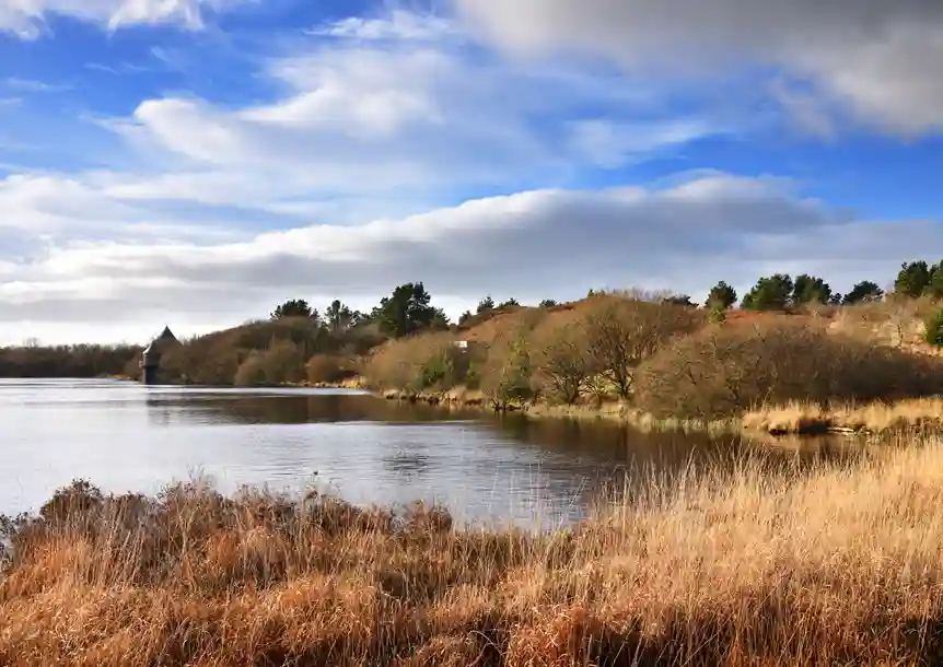 Llyn Llech Owain Country Park, Gorslas, Carmarthenshire