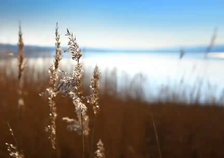 Machynys Peninsula, Carmarthenshire