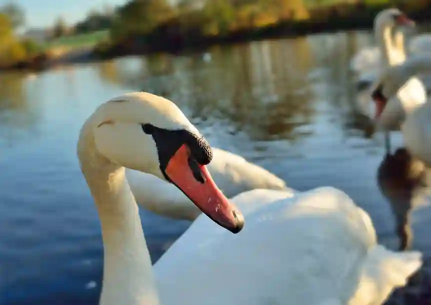 Sandy Water Park, Llanelli