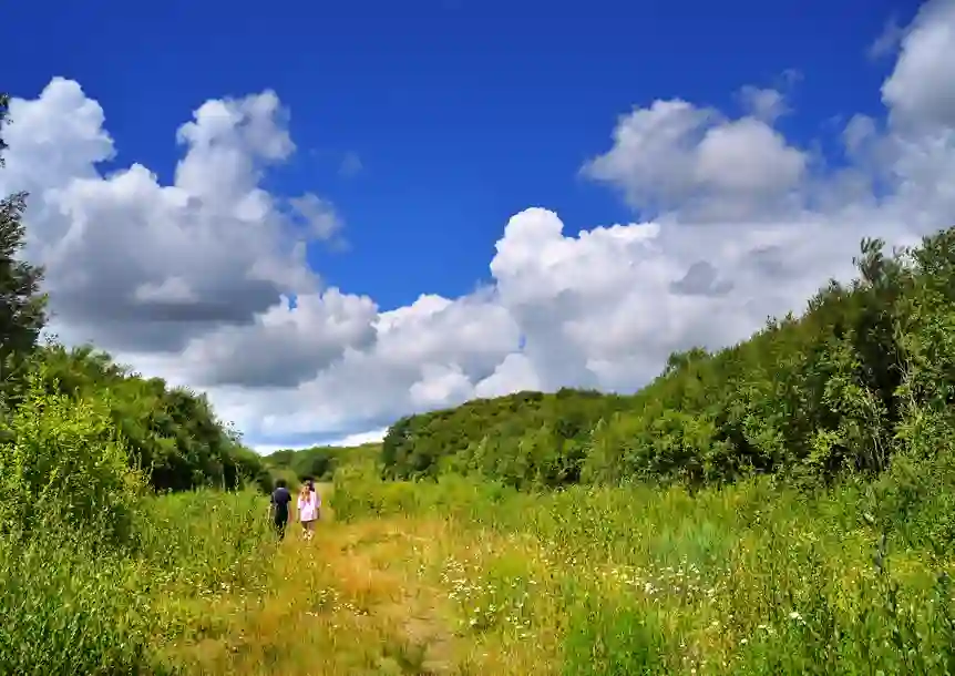 Berwick Nature Reserve