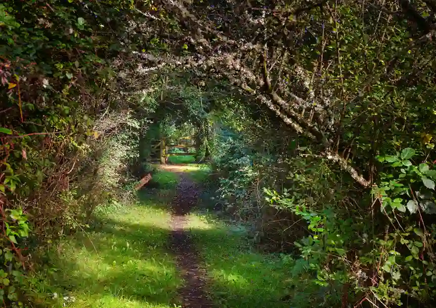 Berwick Nature Reserve