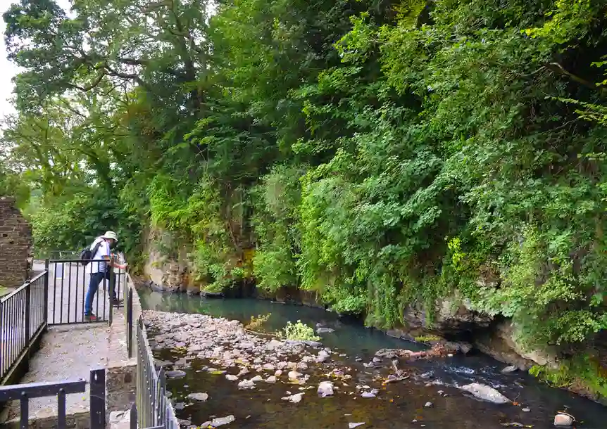 Aberdulais