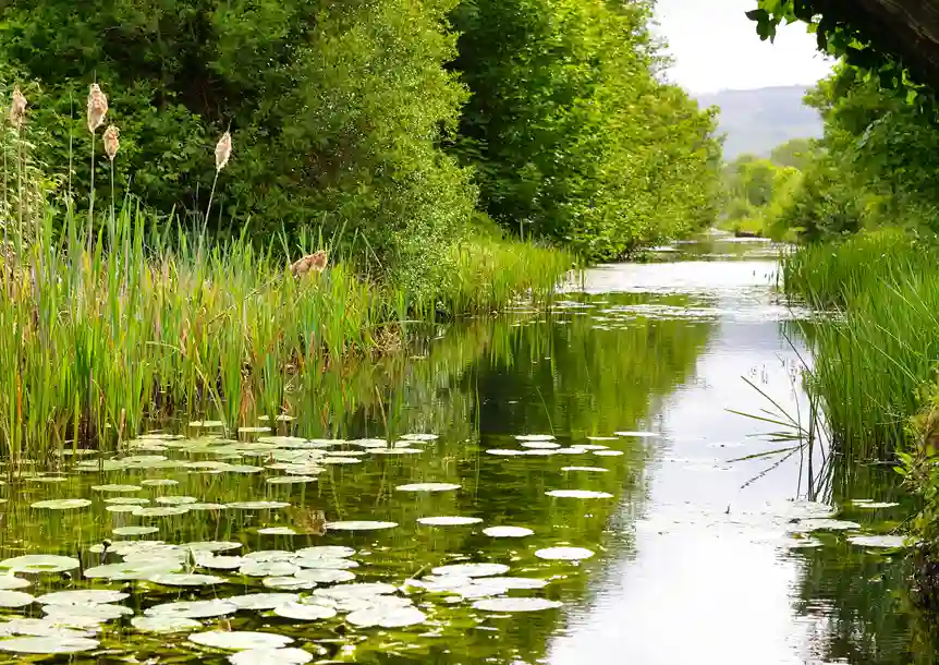 Tennant Canal