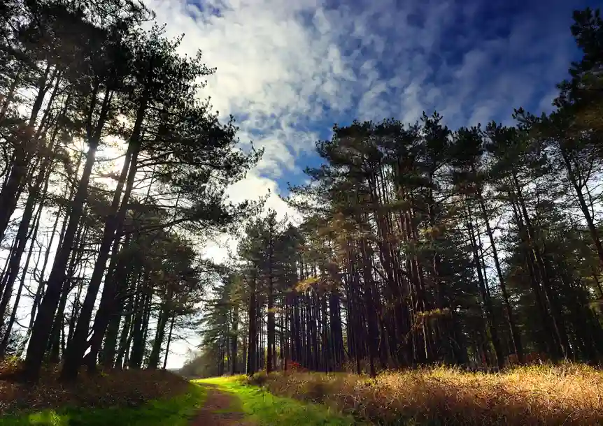 Pembrey Country Park