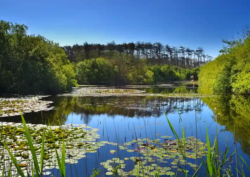 Pembrey Peninsula, Carmarthenshire