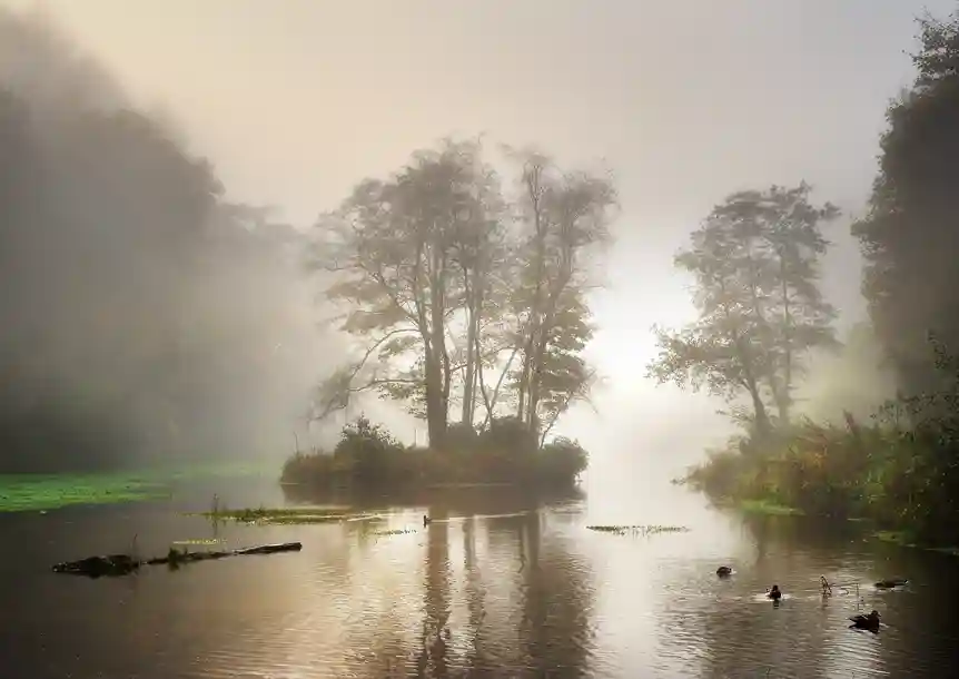 Penllergare Valley Woodland