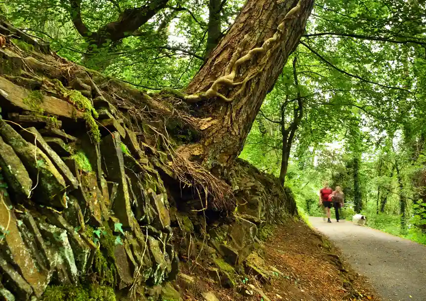 Swiss Valley, Carmarthenshire