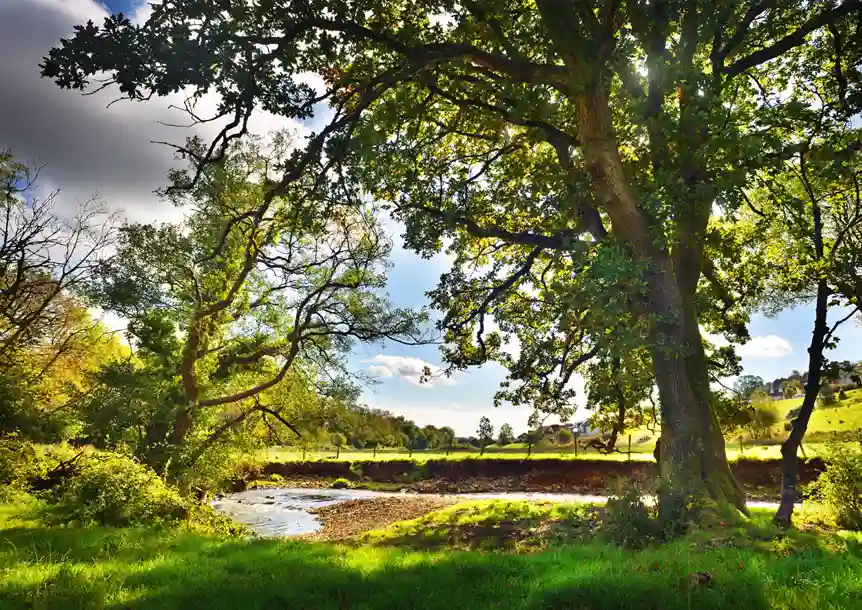 Troserch Woodland Walk, Llangennech, Carmarthenshire