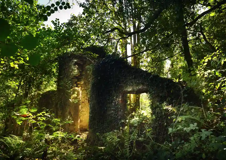 Troserch Woodland Walk, Llangennech, Carmarthenshire