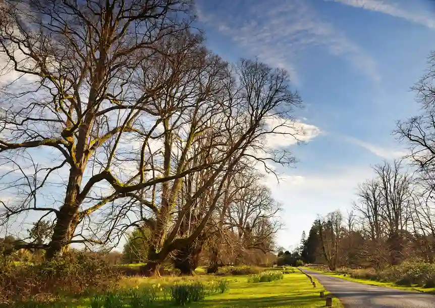 Gelli Aur Country Park