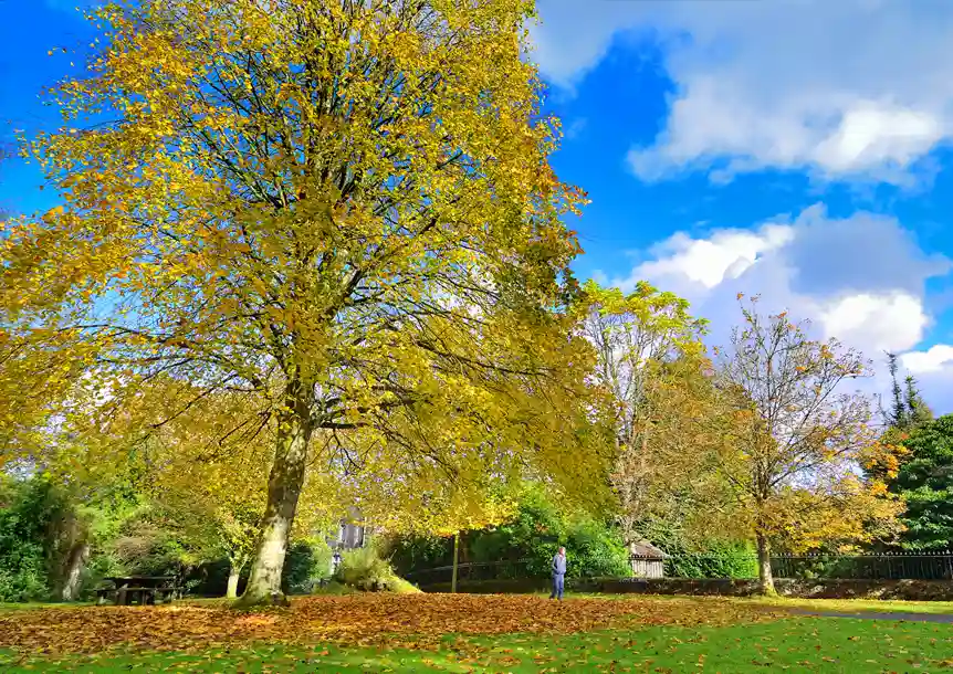 Gelli Aur Country Park