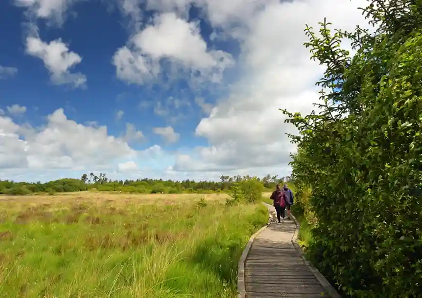 Llyn Llech Owain Country Park