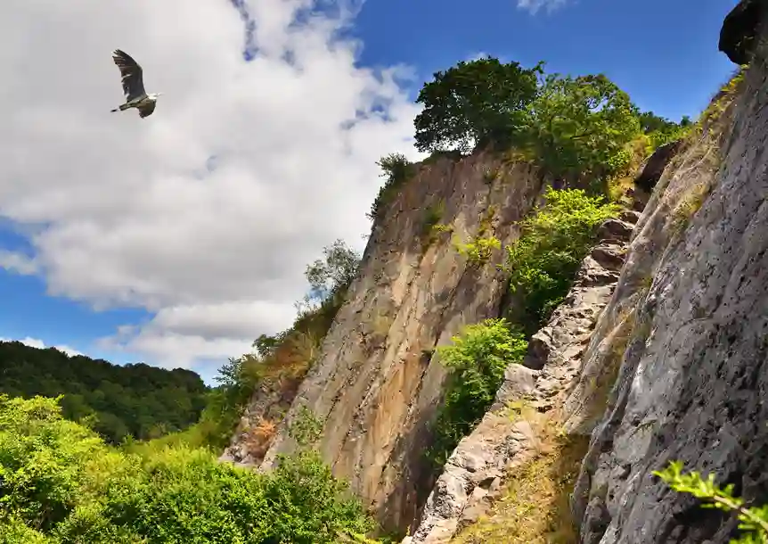 Waterfall Country, Dinas Rock